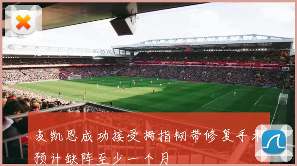 麦凯恩成功接受拇指韧带修复手术预计缺阵至少一个月
