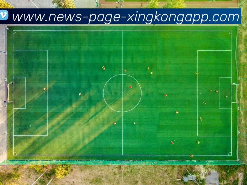 多媒体互动体验